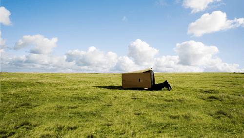 5 Technology Trends CIOs Can’t Ignore