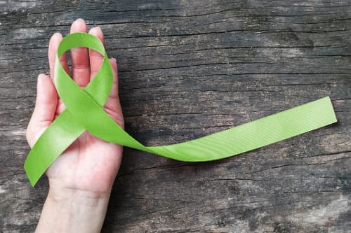 Mental Health: The Elephant on Campus and What Institutions Can Do