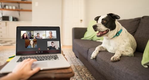 How to Remain Accessible While Supporting Social Distance Learning
