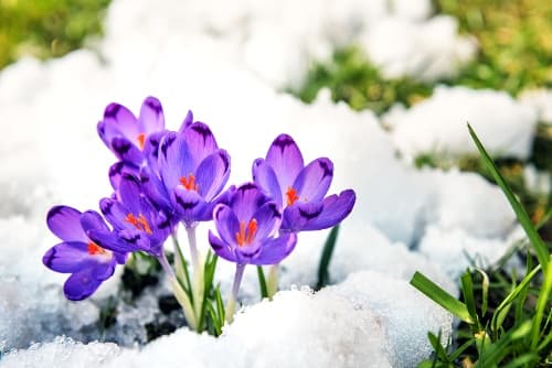 3 Tips for Tackling Summer Melt From Enrollment Pros