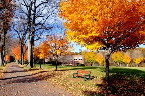 7 Tips for Planning for the Fall Return of Students